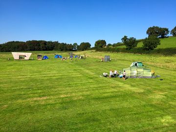 Grass pitch