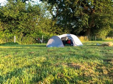 Lovely early morning sun at in nature campsite