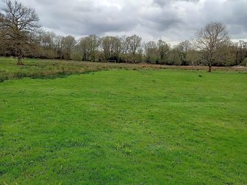 Meadow views