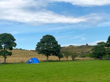 Tent views (added by visitor 14 aug 2021)