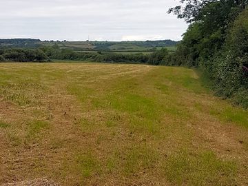 Grass field