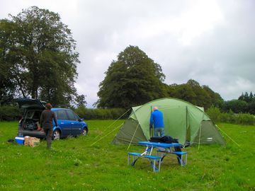 Grass pitches in bankings field