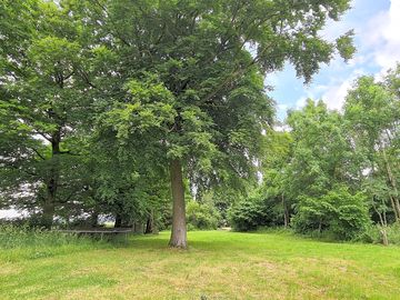 Large woodland pitch