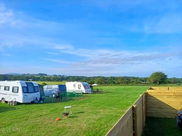 Grassy pitches