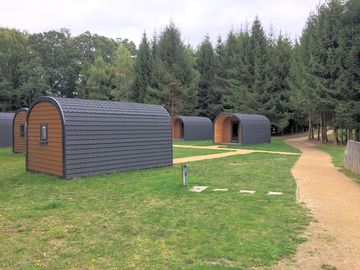 Pods alongside footpath leading to games field
