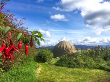 One of the yurts (added by manager 03 mar 2023)