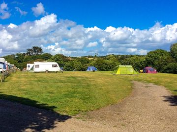 Electric grass pitch