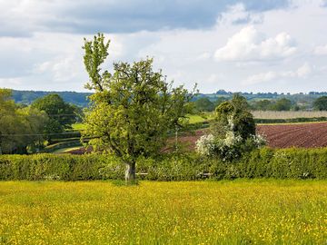 Countryside views