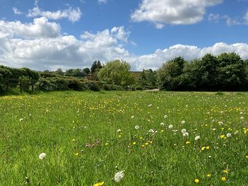 Countryside setting