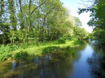 Wild swimming in the frome river (added by manager 03 jun 2018)