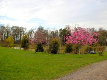 View across to our bottom lake
