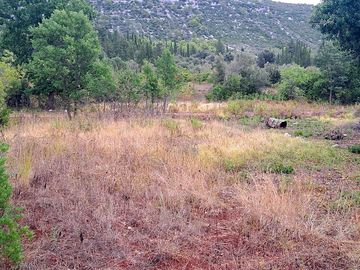 View of the site