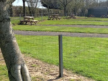 Grass area for seating & pic-nic area for each pitch