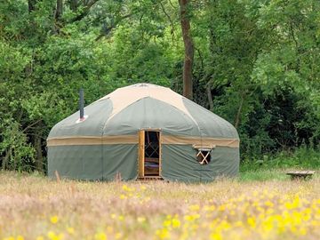 Lovely setting for the yurts