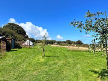 Camping field at the hide pembrokeshire (added by manager 14 mar 2024)