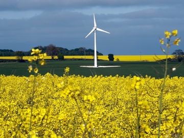 Wind turbine on the drive