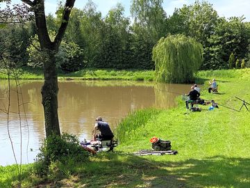 Fishing in the sun