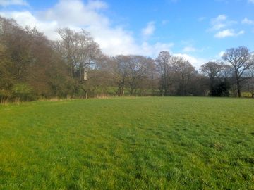 Flat, grassy pitches (added by manager 23 feb 2022)