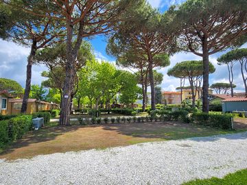 Piazzola grande