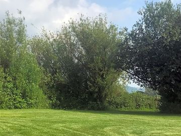 Grass pitches