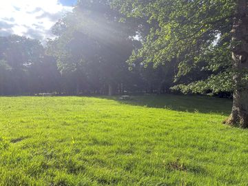 Sun shining down on the camping area