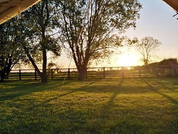 Grassy pitches