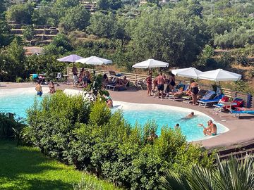 Pool surrounded by olive groves