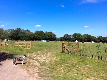 Floss checking on guests (added by manager 14 apr 2016)