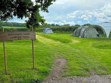 Camping field