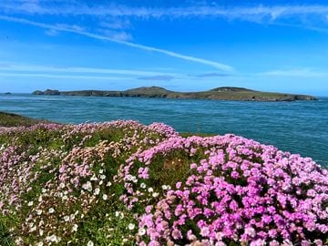 Views from the coast path at st justinian's (added by manager 24 jun 2022)