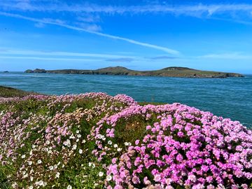 Views from the coast path at st justinian's
