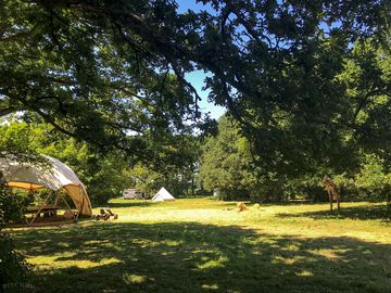 Bell tent (added by manager 31 aug 2022)