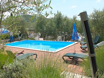 Swimming pool with loungers
