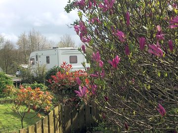 The flowers, trees and shrubs are often complimented. pitches are wide enough for caravan and awning