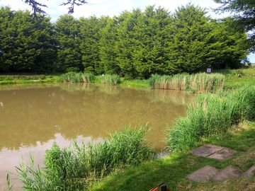 View of the fishing lake