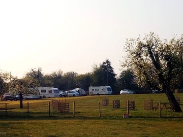 Grassy pitches