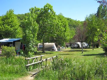 Grass pitches surrounded by trees