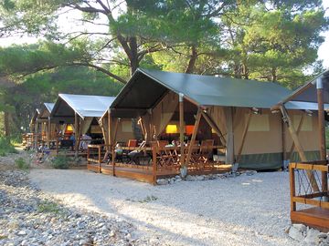 Glamping tents shaded by trees (added by manager 25 jan 2018)