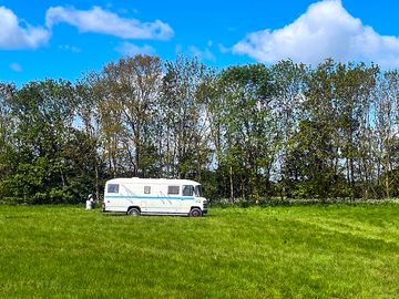 Trees along the edge of the field (added by manager 25 jul 2023)