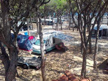 Henry at camping blanes (added by visitor 08 jul 2018)