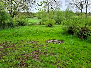 Pitches placed among the greenery