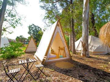 Buka tipis among the trees (added by manager 28 feb 2024)