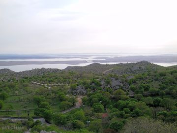 The setting
