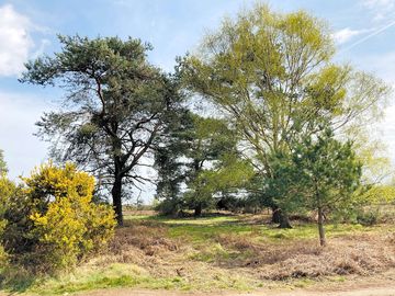 Heathland (added by manager 16 may 2022)