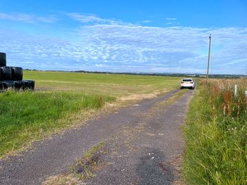 View of the pitches