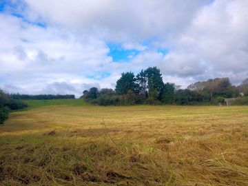 Cut after the last crop of 2020