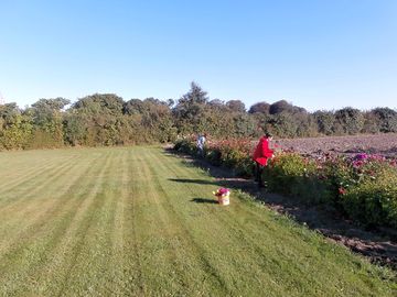 A sunny day on site