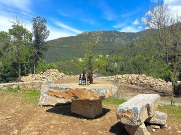 View from the site's stone seating