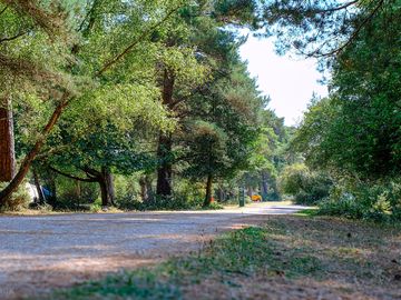 Track through roundhill