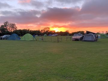 Camp field